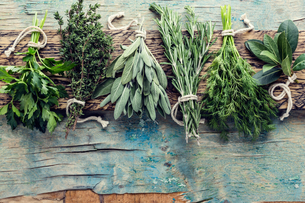 fresh herbs on wooden background with space for text